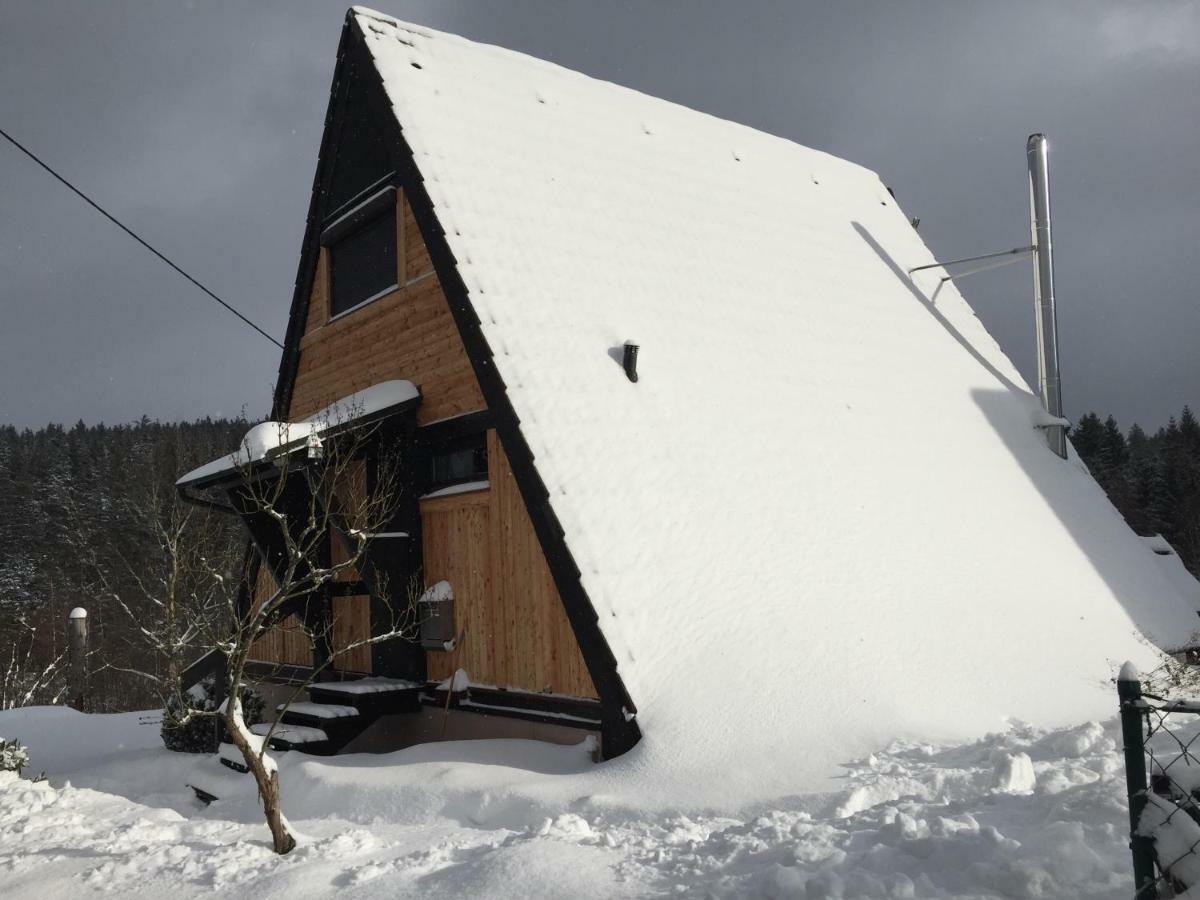 Вилла Haus Fichtelgebirge Nagel Экстерьер фото